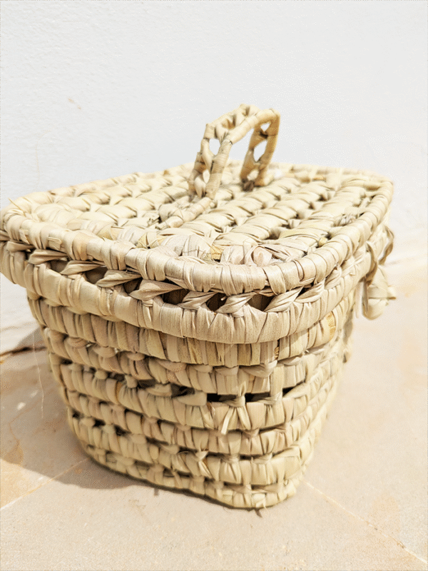 coffre de rangement petit format