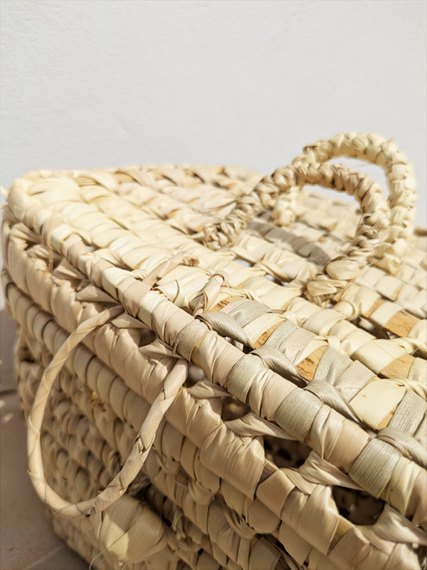 coffre de rangement moyen format